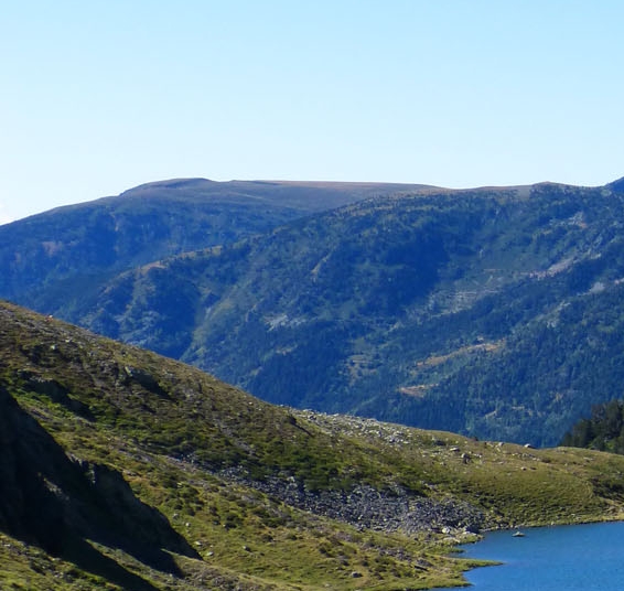 奇迹变态版登录可领永久翅膀和无限钻石