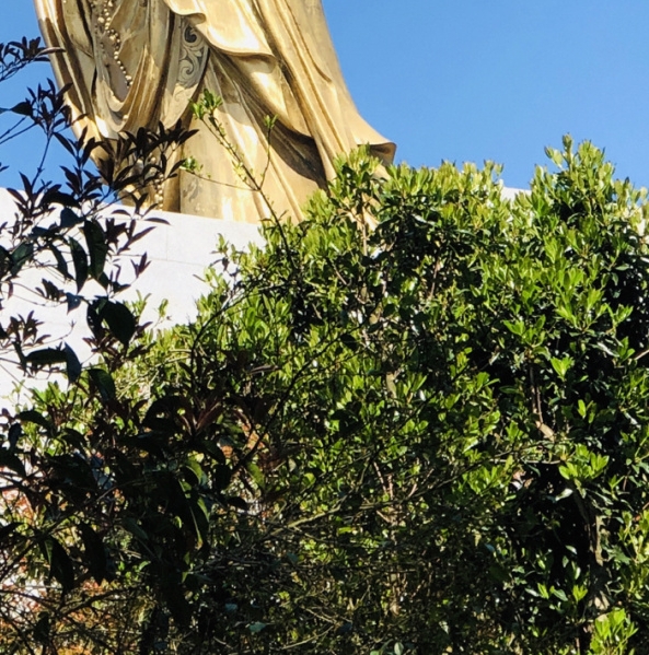 去医院面试简历