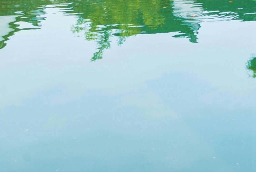 海鲜大虾图片大全