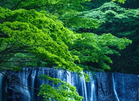环保小屋美术教案