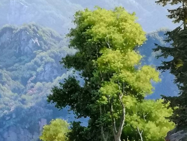 奢华与贫困：老照片记录清末生活
