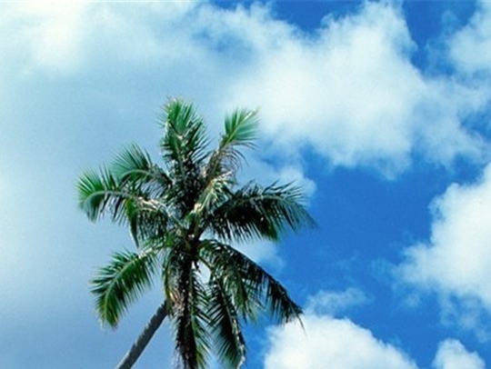 奇迹mu的vip等级要多少钱