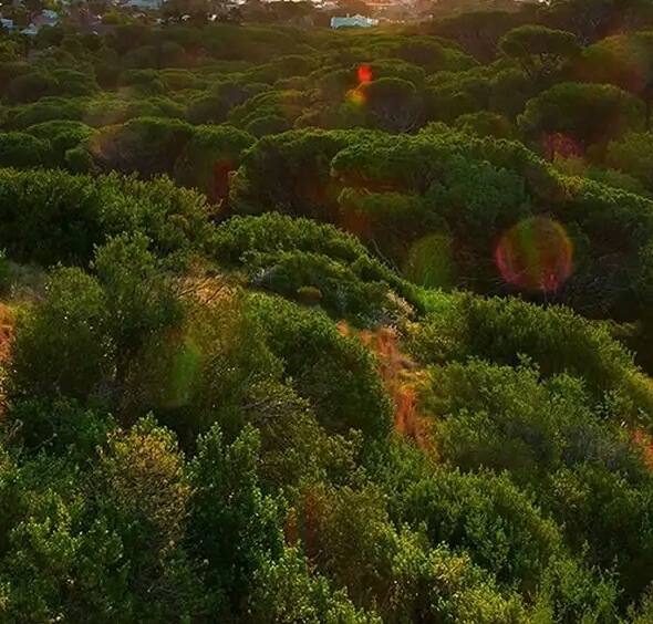 小薇的旅行生活