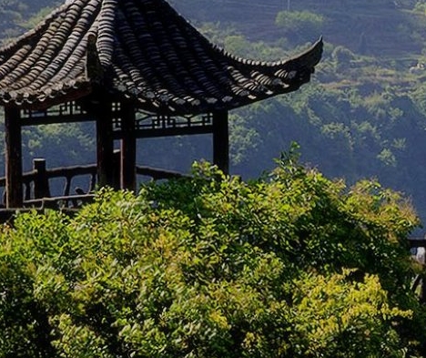 数学节徽标图案大全