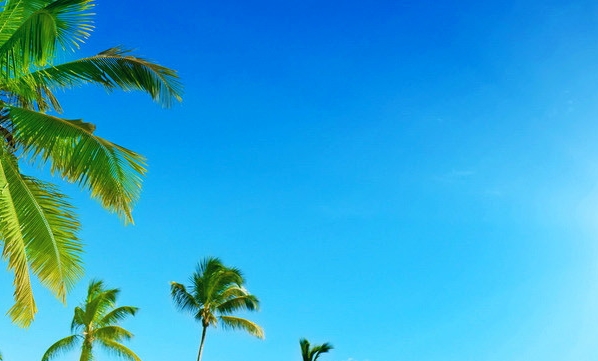 感慨生活艰辛的文案
