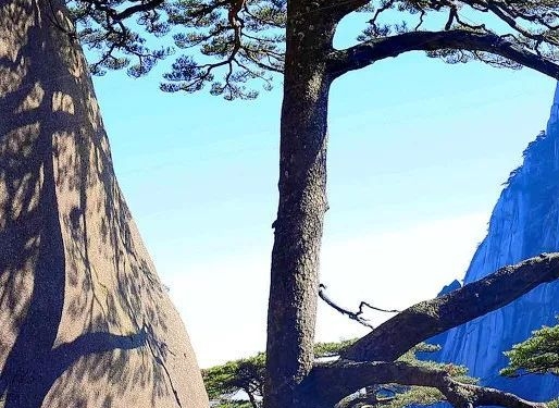 逗乐微生活小程序与微信小程序一起生活，如何注册？