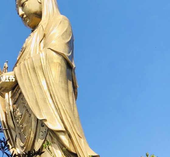 科技城高薪企业与魔都高薪科技竞争：谁能获得更多的高薪科技企业补贴？