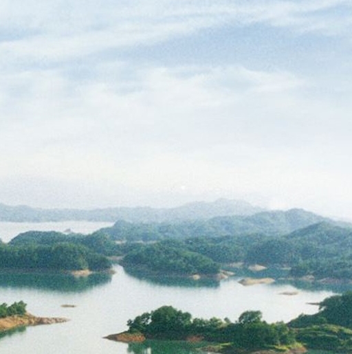 指导教师写在哪里