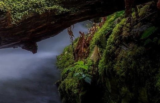 物流生活小李跟小李物流详解