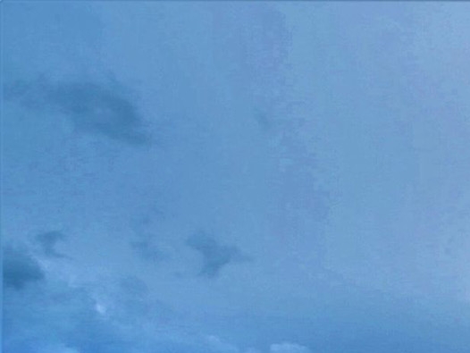 独来独往的生活，独来独往的男人：自由的追求