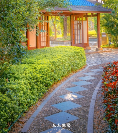 士官少年趣事：300字的生动写照