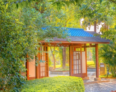 永恒美味星球FF修改器