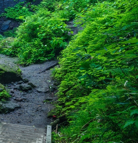 简历参与活动怎么填写