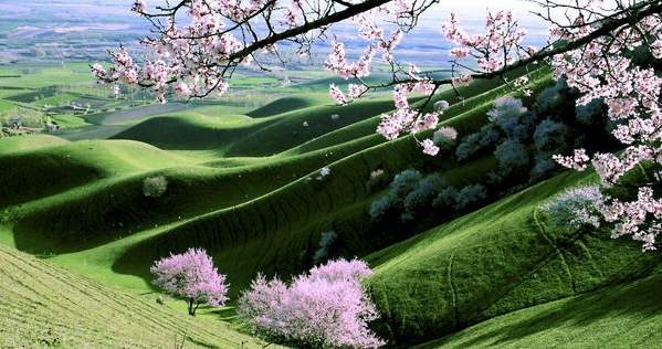 启动旅居生活，体验旅居人的生活感悟