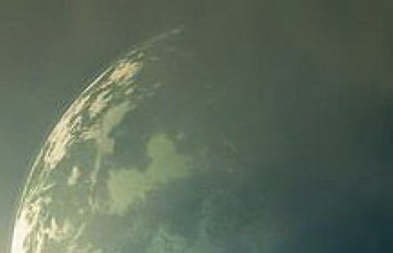 明星打架