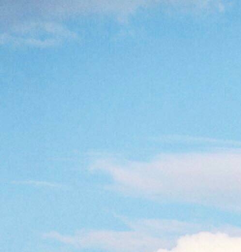 沙蚬与小沙：不同的海岸与森林生活