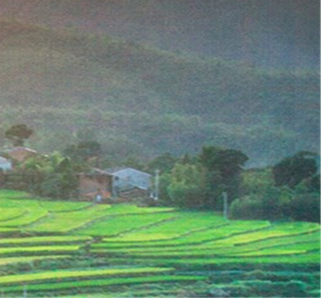 深圳足协丁勇简历