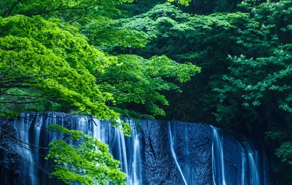 写好的简历模板