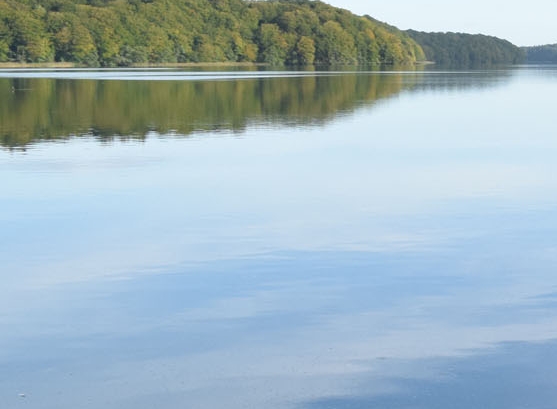 微软账号注册姓名