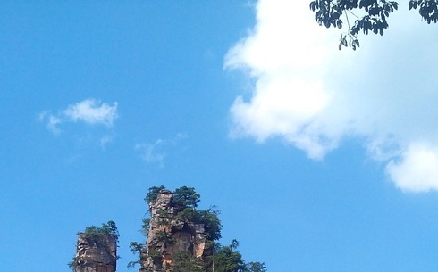 萝卜的味道是什么