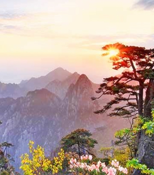 明道校长简历