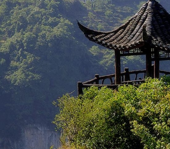 赵明月画家
