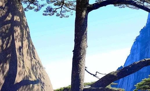 生活不能缺少浪漫