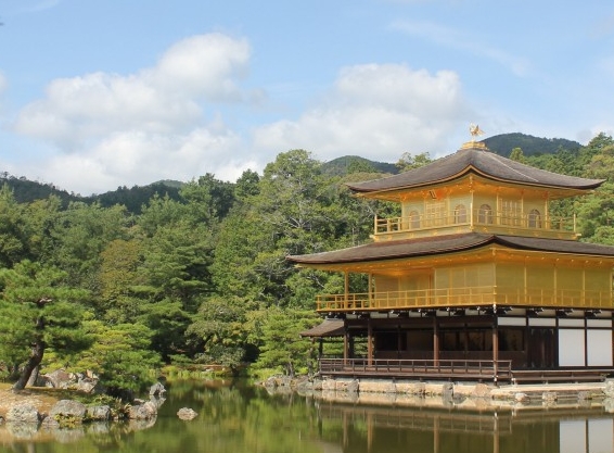 滑板 碳纤维