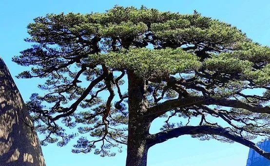 寒假趣事作文600字