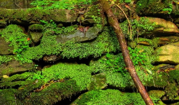 草莓裙双重魔力：闪耀暖暖与奇迹物语