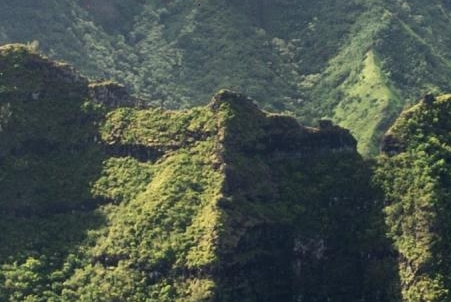本地生活干货视频 vs. 抖音本地生活服务商干货：哪个更实用？