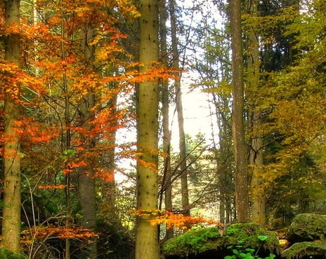 燕山驾校