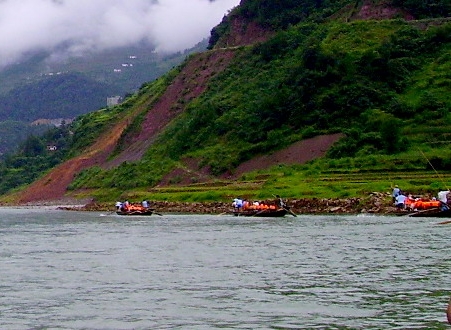 深水海兔