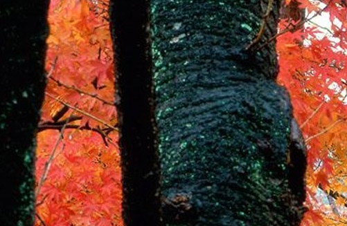 12306注册错姓名改不了