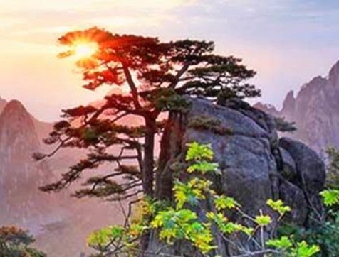 生活中的美味作文500字