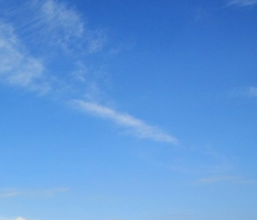 比照游泳教练简历：娄斌vs刘海涛