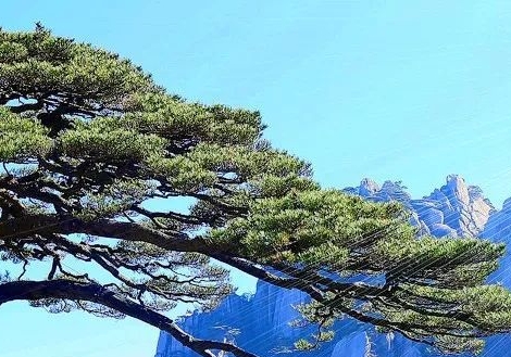生活爆料坛：探秘生活大爆炸的真相