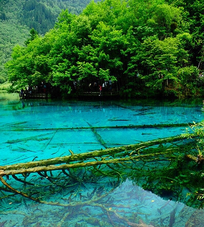 怀宁县局长简历