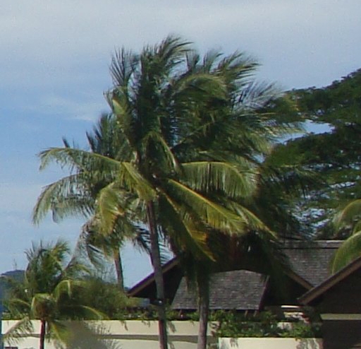 沈阳生活广播