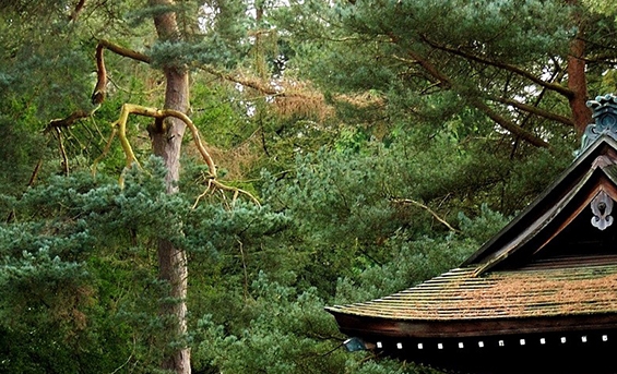 生活不能自理图片搞笑的
