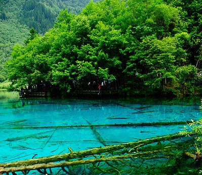 外包公司投简历