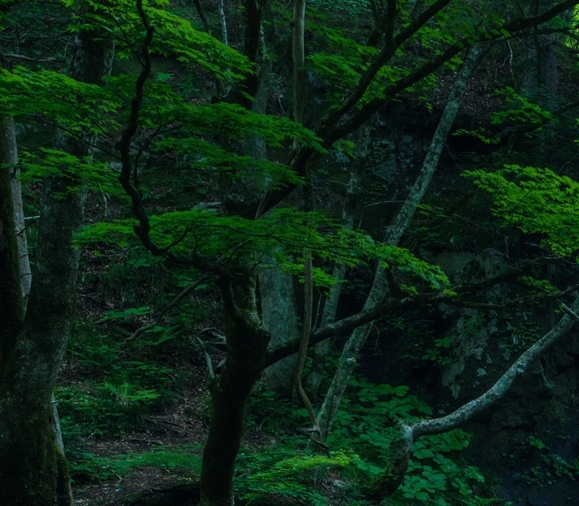 东莞野外小溪