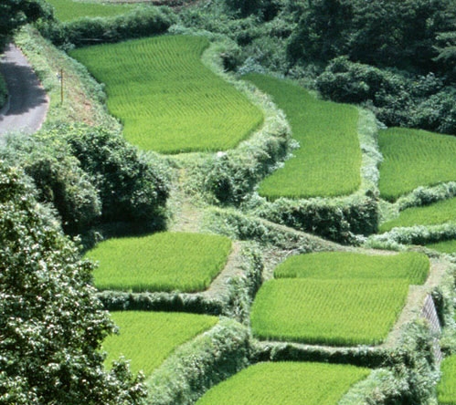 广宁何剑才简历