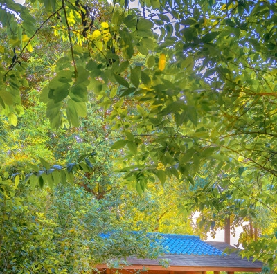 奇迹怎么赚钱攻略