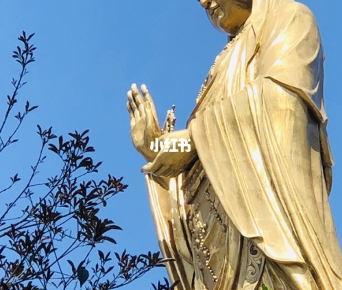 昌盛集团岳林股权真的假的