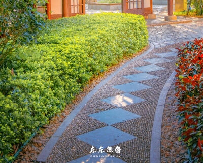 应届生求职简历模版