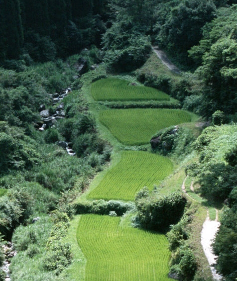 美味不用等商家怎么注册