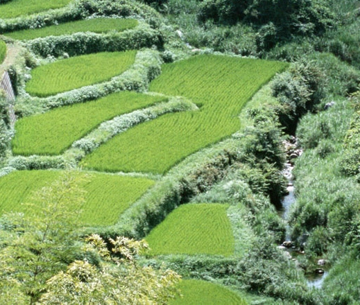 邯郸科技馆开放时间