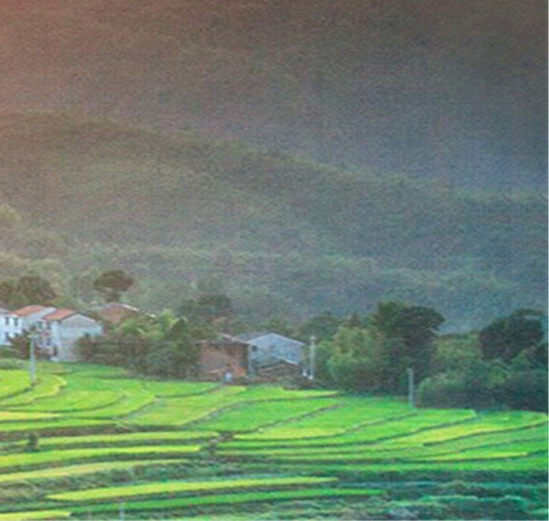 安丘市云鼎科技