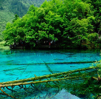 深圳教师节活动